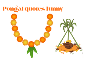 Pongal quotes funny